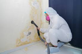 Best Mold Removal for HVAC Installations  in Prichard, AL